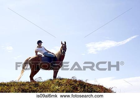 Stock Image - Horse rider on hilltop, Pakiri Beach, Auckland, New Zealand. Fotosearch