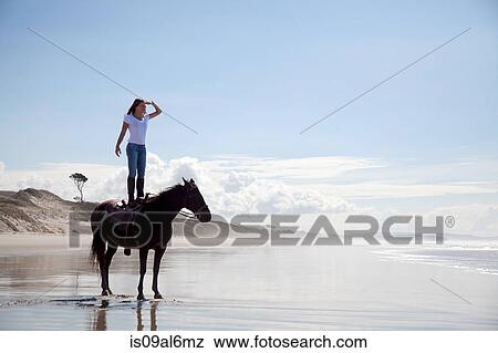 Horse rider standing on horse, Pakiri Beach, Auckland, New Zealand View Large Photo Image Stock Photo - Horse rider standing on horse, Pakiri Beach, Auckland, New Zealand. Fotosearch