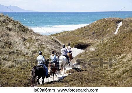 Horse riders heading down to Pakiri Beach, Auckland, New Zealand View Large Photo Image Picture - Horse riders heading down to Pakiri Beach, Auckland, New Zealand. Fotosearch