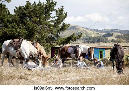 Horse riders taking break on grass, Pakiri Beach, Auckland, New Zealand View Large Photo Image Stock Photography - Horse riders taking break on grass, Pakiri Beach, Auckland, New Zealand. Fotosearch