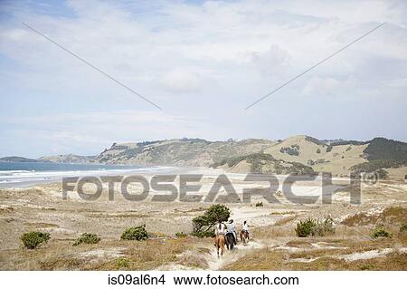 Picture - Horse riding, Pakiri Beach, Auckland, New Zealand. Fotosearch
