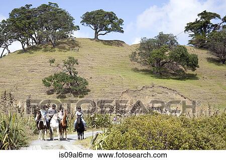 Stock Image - Horse riding, Pakiri Beach, Auckland, New Zealand. Fotosearch