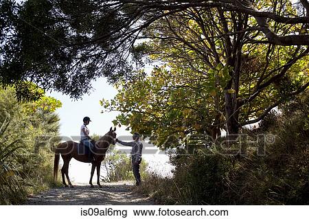 Horse riding, Pakiri Beach, Auckland, New Zealand View Large Photo Image Stock Image - Horse riding, Pakiri Beach, Auckland, New Zealand. Fotosearch
