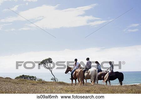 Horse riding, Pakiri Beach, Auckland, New Zealand View Large Photo Image Stock Image - Horse riding, Pakiri Beach, Auckland, New Zealand. Fotosearch