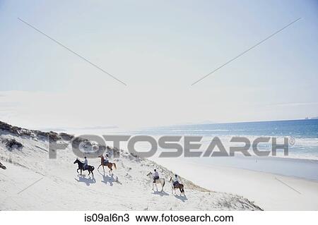 Horse riding, Pakiri Beach, Auckland, New Zealand View Large Photo Image Stock Image - Horse riding, Pakiri Beach, Auckland, New Zealand. Fotosearch