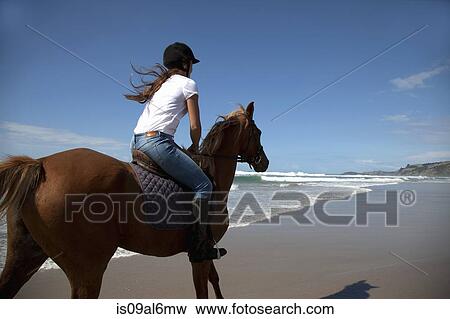 Horse riding, Pakiri Beach, Auckland, New Zealand View Large Photo Image Stock Photo - Horse riding, Pakiri Beach, Auckland, New Zealand. Fotosearch