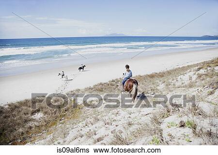 Stock Photograph - Horse riding, Pakiri Beach, Auckland, New Zealand. Fotosearch