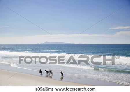 Horse riding, Pakiri Beach, Auckland, New Zealand View Large Photo Image Stock Photograph - Horse riding, Pakiri Beach, Auckland, New Zealand. Fotosearch