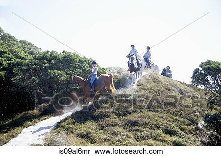 Horse riding, Pakiri Beach, Auckland, New Zealand View Large Photo Image Stock Photography - Horse riding, Pakiri Beach, Auckland, New Zealand. Fotosearch