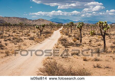 Joshua Tree National Park, California, US View Large Photo Image Picture - Joshua Tree National Park, California, US. Fotosearch