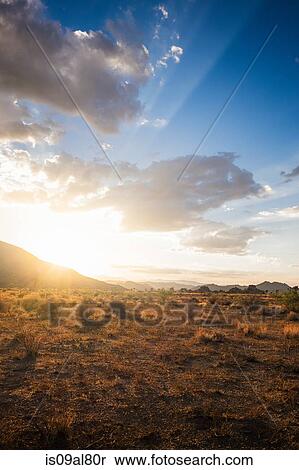 Joshua Tree National Park, California, US View Large Photo Image Stock Photography - Joshua Tree National Park, California, US. Fotosearch