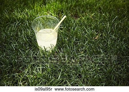 Lemonade in plastic cup on lawn View Large Photo Image Stock Photography - Lemonade in plastic cup on lawn. Fotosearch