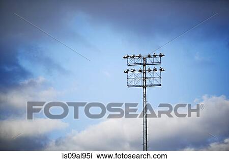 Low angle view of stadium floodlight and blue sky View Large Photo Image Stock Image - Low angle view of stadium floodlight and blue sky. Fotosearch