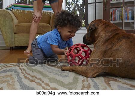 Stock Image - Male toddler playing with dog on sitting room floor. Fotosearch