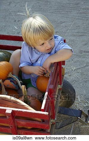 Male toddler sitting in pumpkin cart looking away View Large Photo Image Picture - Male toddler sitting in pumpkin cart looking away. Fotosearch