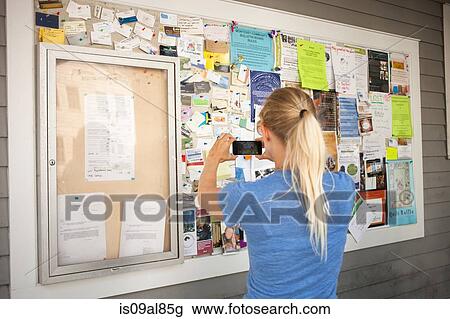 Mid adult woman photographing community notice board with smartphone View Large Photo Image Stock Image - Mid adult woman photographing community notice board with smartphone. Fotosearch