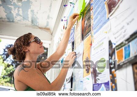 Mid adult woman pinning up notice on community notice board View Large Photo Image Stock Image - Mid adult woman pinning up notice on community notice board. Fotosearch