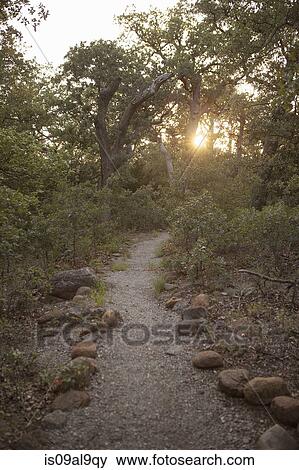 Path in forest at sunset, Wichita Mountains National Wildlife Refuge, Indiahoma, Oklahoma, USA View Large Photo Image Stock Photo - Path in forest at sunset, Wichita Mountains National Wildlife Refuge, Indiahoma, Oklahoma, USA. Fotosearch