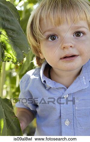 Stock Image - Portrait of male toddler amongst sunflower foliage. Fotosearch