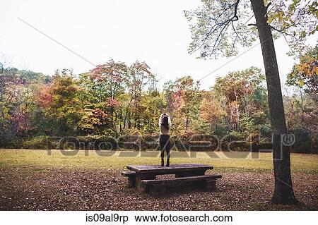Stock Photography - Rear view of young woman standing on picnic bench photographing autumn forest with smartphone. Fotosearch