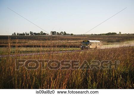 Stock Image - School bus traveling along dusty rural road, Missouri, USA. Fotosearch