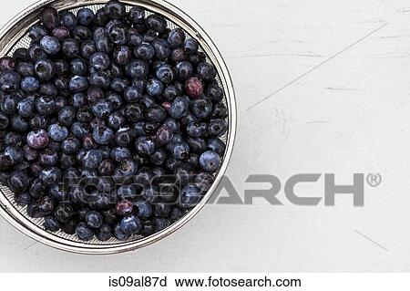 Stock Image - Sieve full of fresh blueberries, high angle. Fotosearch