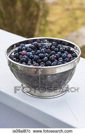 Stock Image - Sieve full of fresh blueberries. Fotosearch