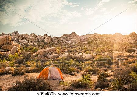 Stock Image - Tent, Joshua Tree National Park, California, US. Fotosearch
