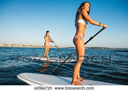 Two women stand up paddleboarding, Mission Bay, San Diego, California, USA View Large Photo Image Stock Image - Two women stand up paddleboarding, Mission Bay, San Diego, California, USA. Fotosearch