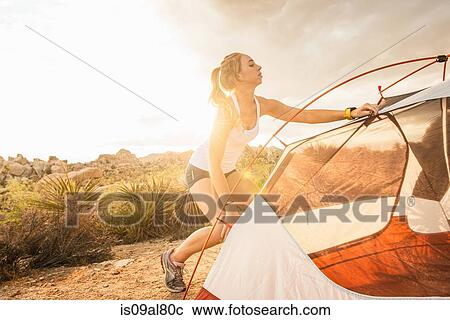 Stock Image - Woman setting up tent, Joshua Tree National Park, California, US. Fotosearch