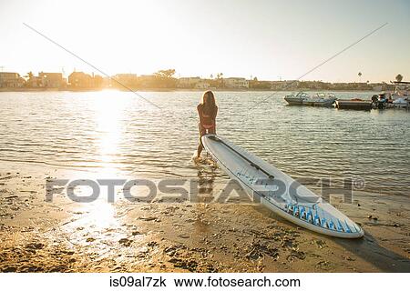 Stock Image - Young woman lifting paddleboard onto beach at sunset, Mission Bay, San Diego, California, USA. Fotosearch
