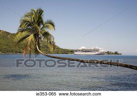 A cruise ship in moorea harbour View Large Photo Image Stock Photography - A cruise ship in moorea harbour. Fotosearch