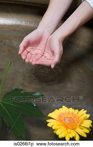 A woman with cupped hands View Large Photo Image Stock Photography - A woman with cupped hands. Fotosearch