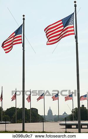 Stock Photo - American flags and capitol building, Washington DC, USA. Fotosearch