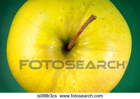 Apple on green background View Large Photo Image Stock Photograph - Apple on green background. Fotosearch