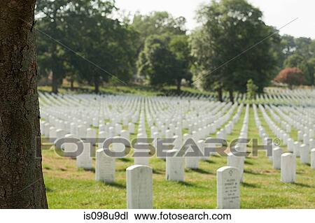 Arlington National Cemetery, Virginia, USA View Large Photo Image Stock Image - Arlington National Cemetery, Virginia, USA. Fotosearch