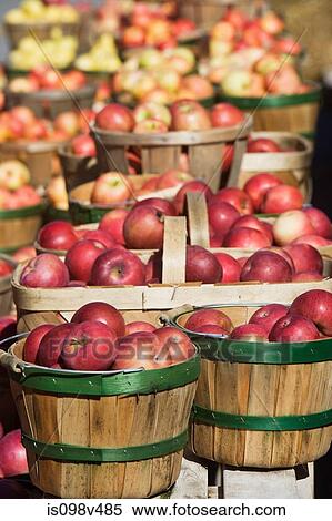 Stock Photography - Baskets of apples for sale. Fotosearch