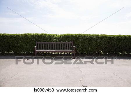 Stock Image - Bench and hedge on promenade. Fotosearch