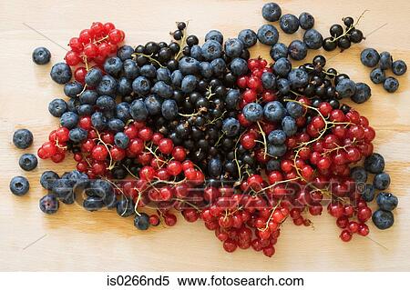 Blackcurrant cranberry and blueberry View Large Photo Image Stock Photography - Blackcurrant cranberry and blueberry. Fotosearch