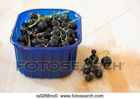 Blackcurrants in a container View Large Photo Image Stock Image - Blackcurrants in a container. Fotosearch
