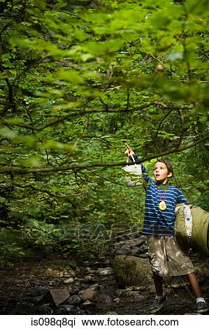 Boy in forest View Large Photo Image Stock Image - Boy in forest. Fotosearch