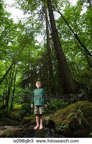 Boy in forest View Large Photo Image Stock Image - Boy in forest. Fotosearch
