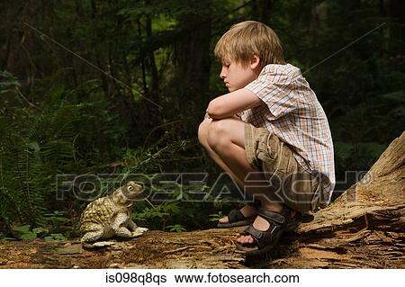 Boy looking at toad View Large Photo Image Stock Photograph - Boy looking at toad. Fotosearch