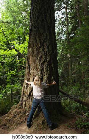 Boy looking up at tree View Large Photo Image Stock Photo - Boy looking up at tree. Fotosearch