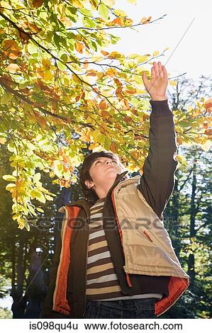 Boy looking up at tree View Large Photo Image Stock Photograph - Boy looking up at tree. Fotosearch