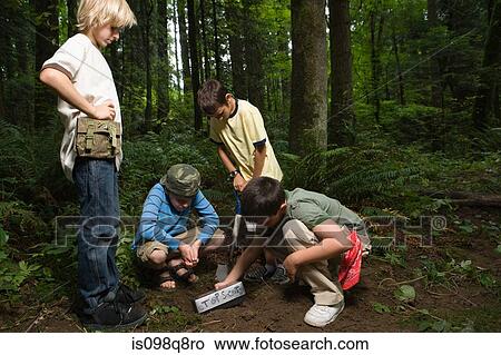 Boys digging in forest View Large Photo Image Picture - Boys digging in forest. Fotosearch