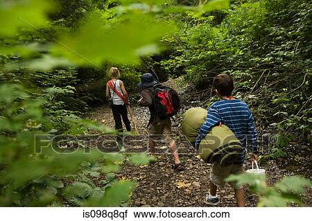 Boys in forest View Large Photo Image Stock Image - Boys in forest. Fotosearch