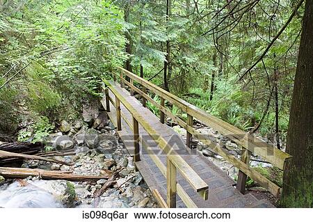 Bridge in forest View Large Photo Image Stock Photography - Bridge in forest. Fotosearch