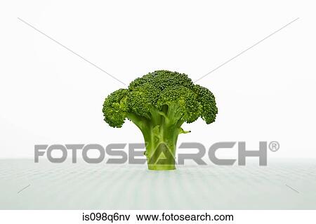 Broccoli View Large Photo Image Stock Photo - Broccoli. Fotosearch