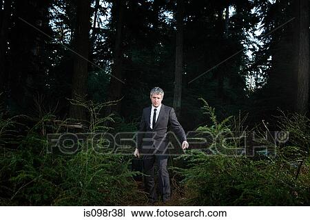 Businessman in forest holding briefcase View Large Photo Image Stock Image - Businessman in forest holding briefcase. Fotosearch
